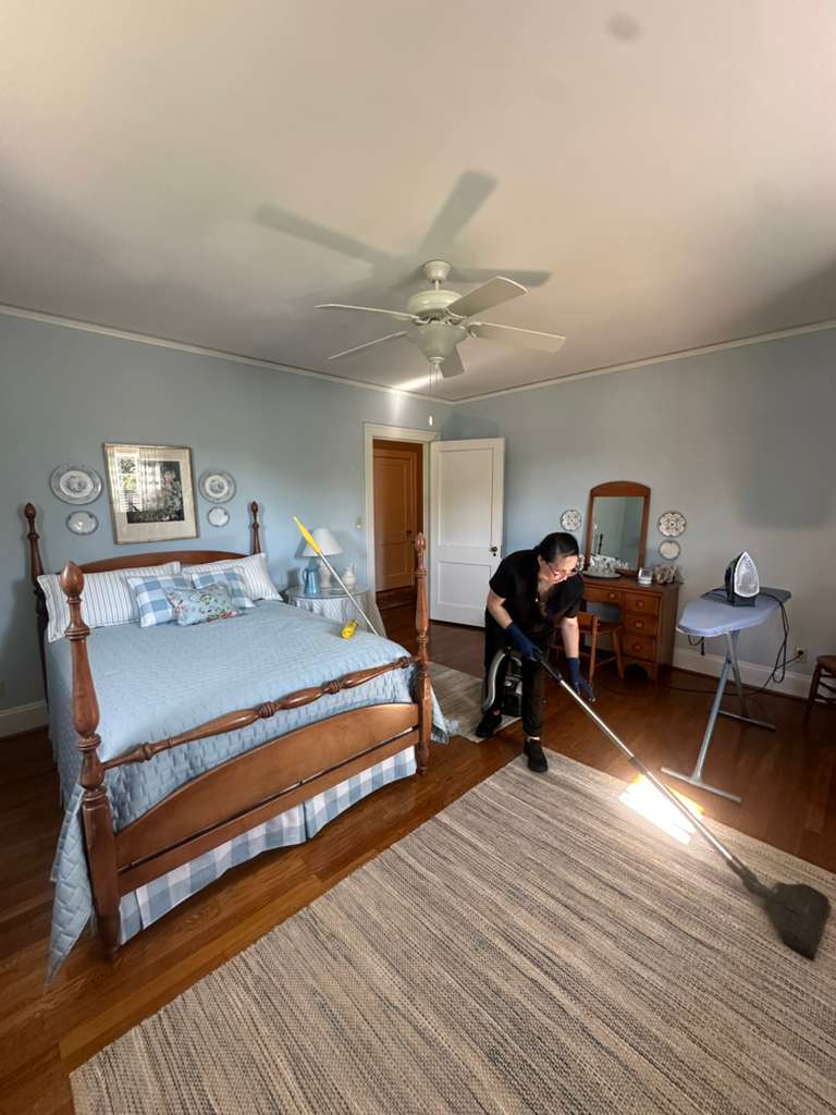 Professional cleaning